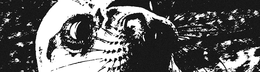 EGGS!!! III - back from ze grave [TRVE SEALCORE]