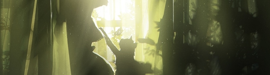 Picture Perfect Love [mule kick's Insane]